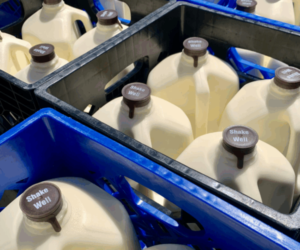 Shocking Violations Uncovered at Sonipat Dairy: Oils Used to Boost Milk Fat